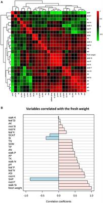 Silicon Application Modulates the Growth, Rhizosphere Soil Characteristics, and Bacterial Community <mark class="highlighted">Structure</mark> in Sugarcane